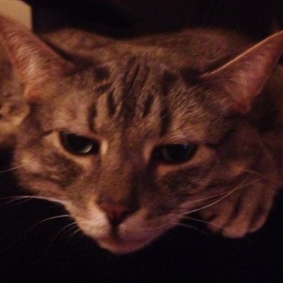 Profile Picture of Jesse Hembruff (@jessehembruff) on Twitter