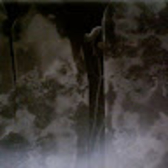 Profile Picture of Alaina Oehrlein (@aoehrlein89) on Poshmark