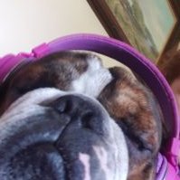 Profile Picture of Alice Mary Barryon Twitter