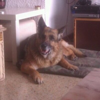 Jose Ribalta - Twitter Profile Picture of Jose Ribalta (@joride2) on Twitter