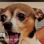 Profile Picture of Rodrigo Cadavid (@rodrigo.cadavid.397) on Facebook