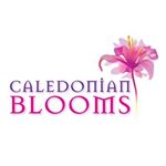 Profile Picture of Janine McCandlish (@caledonian_blooms) on Instagram