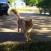Profile Picture of Brenda Trapp (@brenda.trapp.779) on Facebook