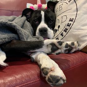 Profile Picture of Martine Thomas (@martsing) on Pinterest