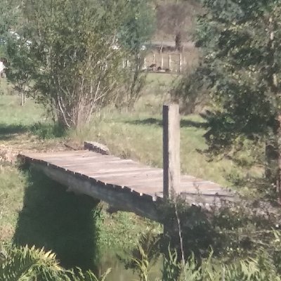 Profile Picture of MARIA LORETO ORTIZ MORANDE (@MorandeMaria) on Twitter