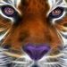Profile Picture of Elaine Laney David (@laneyloveslsu) on Pinterest