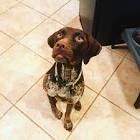 Profile Picture of   Kanegaroo (@kanethegsp)... (@kanethegsp) on Tiktok