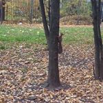 Profile Picture of Randall Lombardo (@randalllombardo) on Instagram