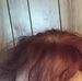Profile Picture of Joel Coonfield (@joel.coonfield.31) on Facebook