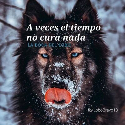 Profile Picture of Ambrosio Rodrigo Lopez Dominguez (@Rodrigo_thewise) on Twitter