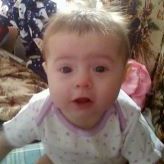 Profile Picture of Lisa Wheeler (@lisawheeler2) on Pinterest