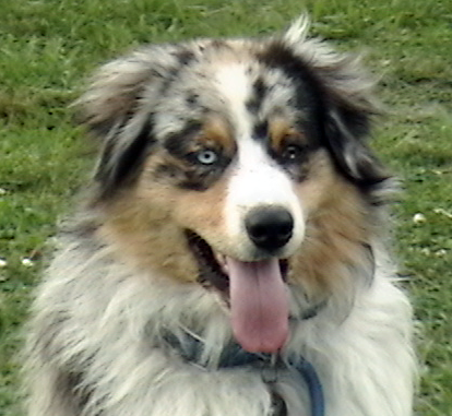 Profile Picture of Lawrence B Standley (@spin_echo71) on Twitter