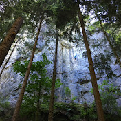 Profile Picture of Dane Andersen (@daneandersen8319) on Youtube