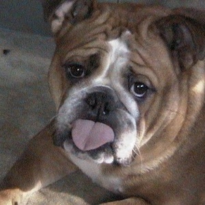 Profile Picture of Luke Stewart (@422052576) on Myspace