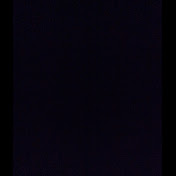 Profile Picture of Stacie Stewart (@staacciiee) on Youtube