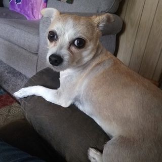 Profile Picture of Beverly Shannon (weinreich) (@Beverly-Shannon) on Facebook