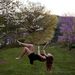 Profile Picture of Ann Pooler  (@annpooler27550) on Pinterest