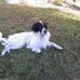 Profile Picture of Jacqueline Dupre (@jacqueline.dupre.750) on Facebook