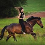 Profile Picture of Lisa Scheid (@rasselbande_scheid) on Instagram
