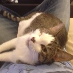 Profile Picture of stephaniealter (@stephaniealter) on Instagram