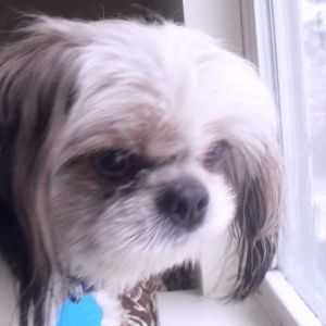 Profile Picture of Lizeth Rivera (@249826523) on Myspace