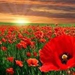 John Bellairs - Instagram Profile Picture of John Bellairs (@johnbellairs) on Instagram