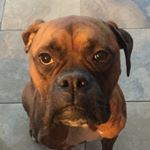 Profile Picture of Mark Stecho (@stek360) on Instagram