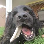 Profile Picture of Jayden Swafford (@jaydenswafford) on Instagram