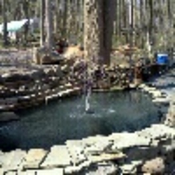 Profile Picture of Connie Ottey (@ccottey) on Poshmark