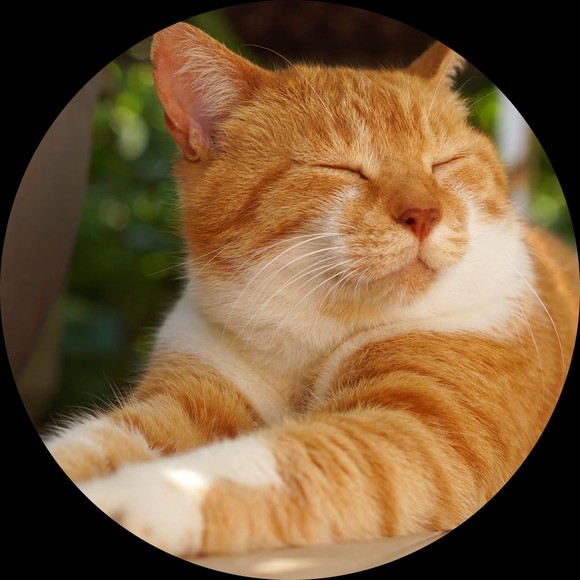 Profile Picture of Keep it Steady (@bellevie0725) on Poshmark