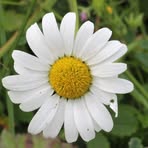 Profile Picture of Lyndsey Ahern (@lyndsey.ahern.9) on Facebook