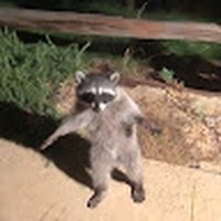 Profile Picture of Jared Morales (@jared-morales-65) on Quora