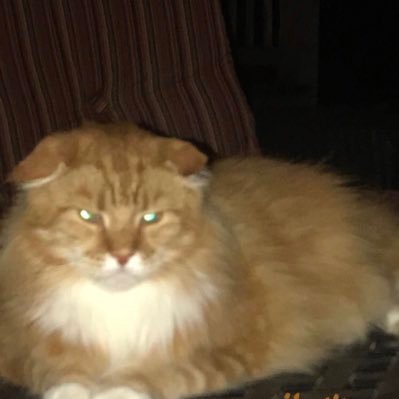 Profile Picture of Palm Jay (@PalmJay1) on Twitter