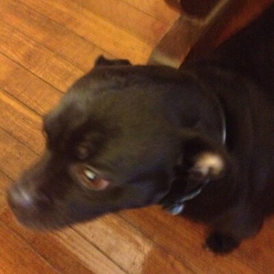 Profile Picture of Codbros998 (@MearigRyan) on Twitter