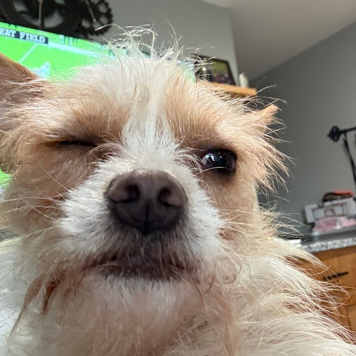 Alex - Tiktok Profile Picture of Alex (@alexlineberry8) on Tiktok