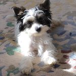 Profile Picture of Neece Jeffery (@neecejeffery) on Instagram