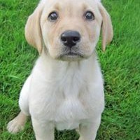 Profile Picture of Chris Hitchings (@chris-hitchings-4) on Quora