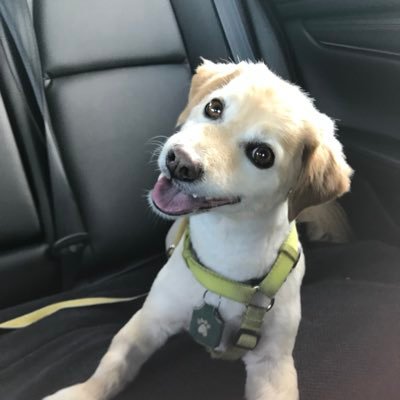 Profile Picture of Bryan Coleman (@isthisYOURpen) on Twitter