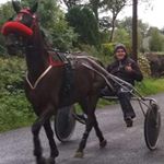 Profile Picture of Joseph Keegan (@speedykeegan) on Instagram