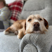 Profile Picture of Jo Smart (@jojoba43) on Youtube