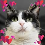 Jean Casey Riddell - Facebook Profile Picture of Jean Casey Riddell (@jean.c.riddell) on Facebook