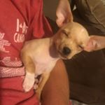 Profile Picture of Justin Kovach (@justinkovtime) on Instagram