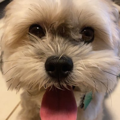 Brendan - Twitter Profile Picture of Brendan (@bee_mangan) on Twitter