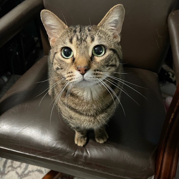 Profile Picture of John Wiebold (@johnwiebold) on Poshmark