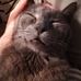 Profile Picture of Sebnem Andacsusenburger (@Sebnem-Andac-susenburger) on Facebook