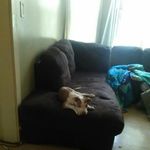 Profile Picture of Dewayne Wright (@dewaynewright3927) on Instagram