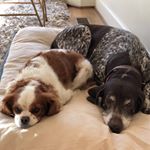 Profile Picture of hazel and kingsley (@hazel_.kingsley) on Instagram