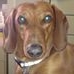 Profile Picture of Robert Arbogast (@robert.arbogast.56) on Facebook