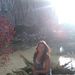 Profile Picture of Aileen Schell (@aileen2661) on Pinterest