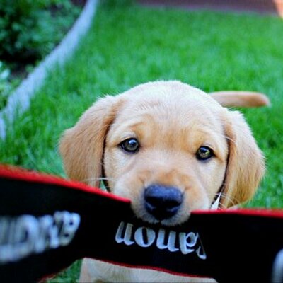 Profile Picture of Keeley Casey (@ckeeley99) on Twitter